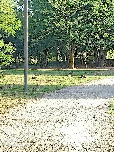 PARCO DEI GIGANTI CASA CHIARA SAN GIULIANO MILANESE
